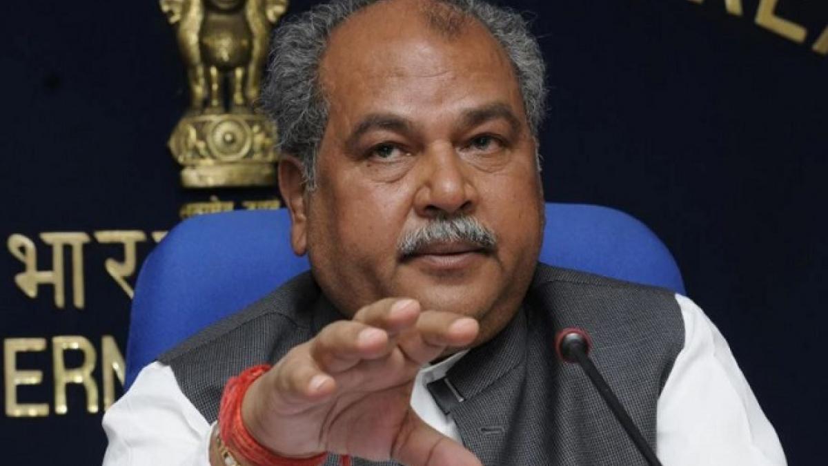 केंद्रीय कृषि मंत्री नरेंद्र सिंह तोमर 