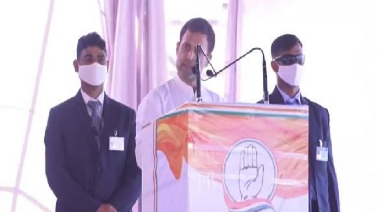 कांग्रेस के पूर्व अध्यक्ष राहुल गांधी 