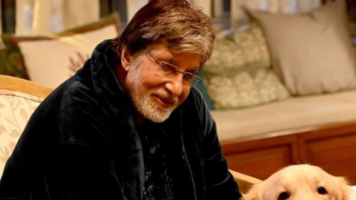 Entertainment News Today, 17 september 2021 Updates: अमिताभ बच्चन