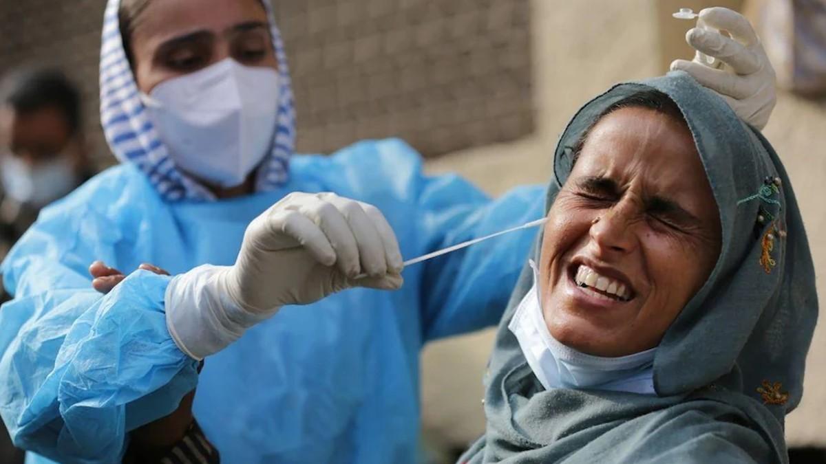 फाइल फोटो.