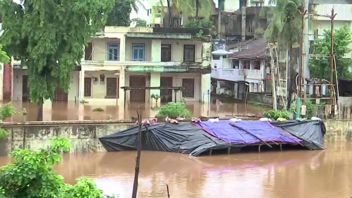 Gujarat Rains (फोटो- ANI)