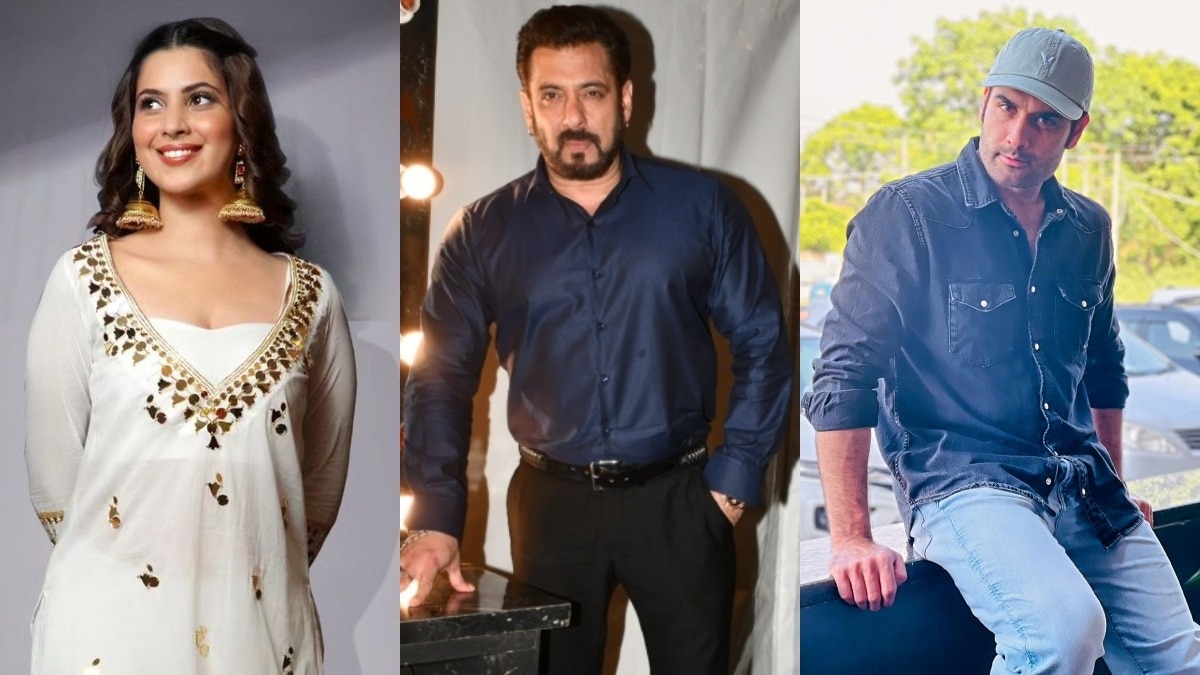 Alice Kaushik, Salman Khan, Vivian Dsena