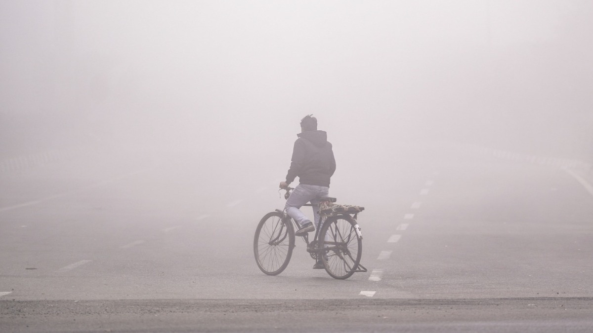 Fog In Delhi