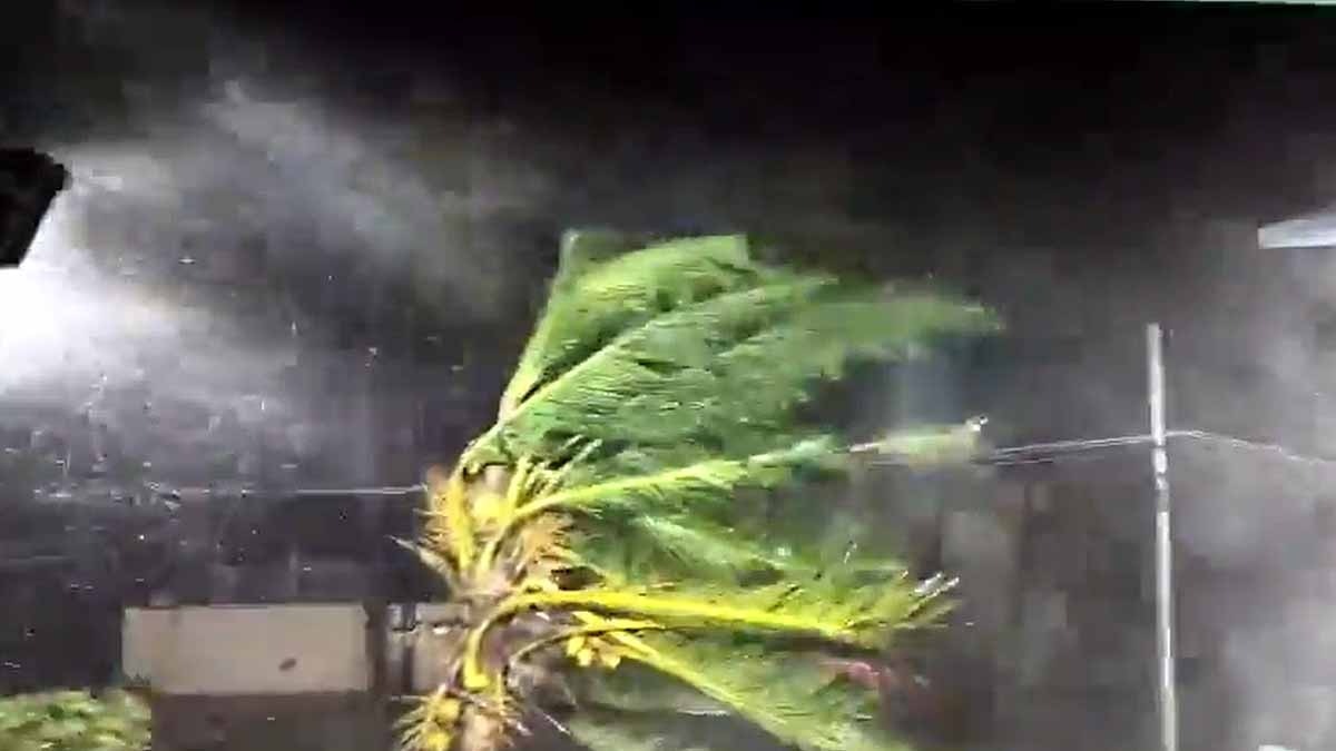 Cyclone Arnab Live Updates