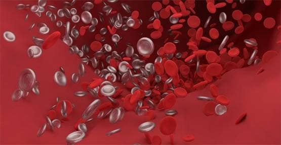 सेक्स हार्मोन से कोरोना का सीधा कनेक्शन, वैज्ञानिकों ने किया खुलासा