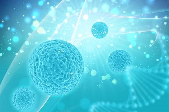 सेक्स हार्मोन से कोरोना का सीधा कनेक्शन, वैज्ञानिकों ने किया खुलासा