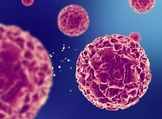 सेक्स हार्मोन से कोरोना का सीधा कनेक्शन, वैज्ञानिकों ने किया खुलासा