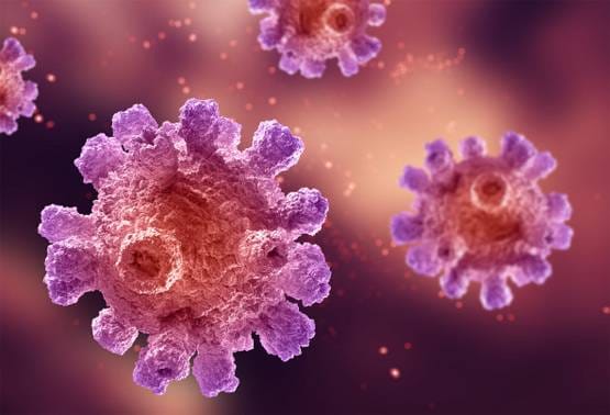 सेक्स हार्मोन से कोरोना का सीधा कनेक्शन, वैज्ञानिकों ने किया खुलासा