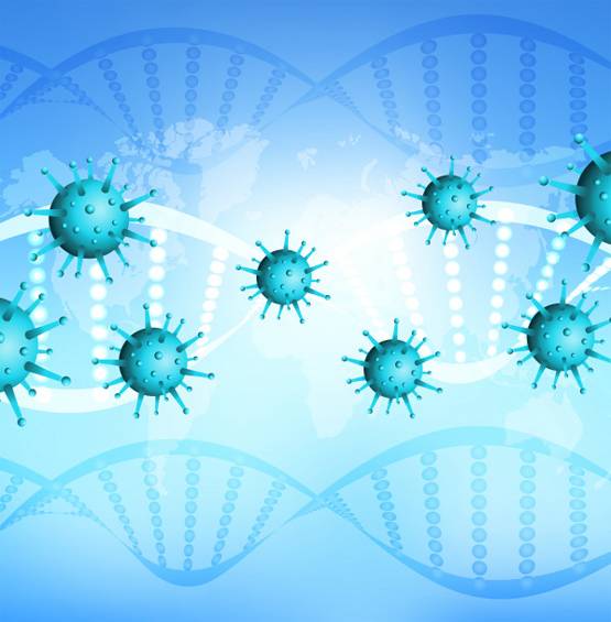 सेक्स हार्मोन से कोरोना का सीधा कनेक्शन, वैज्ञानिकों ने किया खुलासा