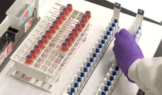 'पौधों की तरह' कोरोना वायरस क्यों उगा रहे इस देश के वैज्ञानिक?