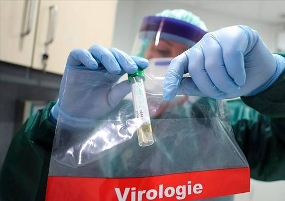 'पौधों की तरह' कोरोना वायरस क्यों उगा रहे इस देश के वैज्ञानिक?