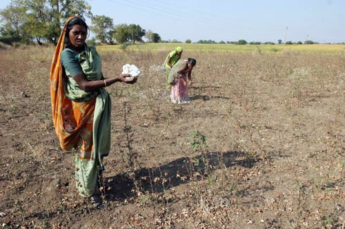 कहां-कहां से अलग राज्‍य की मांग...