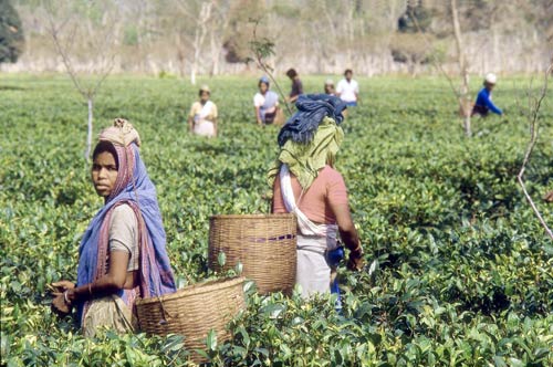 कहां-कहां से अलग राज्‍य की मांग...