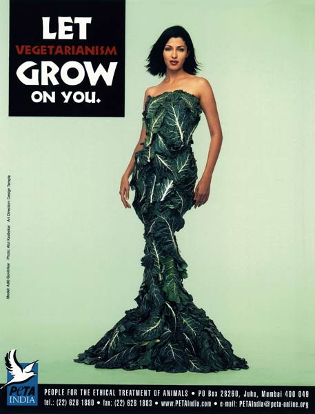 'पेटा' के समर्थन में हसीनाएं...| तस्‍वीरों में दार्जीलिंग