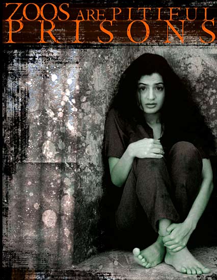 'पेटा' के समर्थन में हसीनाएं...| तस्‍वीरों में दार्जीलिंग