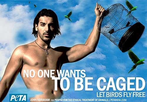 'पेटा' के समर्थन में हसीनाएं...| तस्‍वीरों में दार्जीलिंग