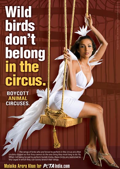 'पेटा' के समर्थन में हसीनाएं...| तस्‍वीरों में दार्जीलिंग