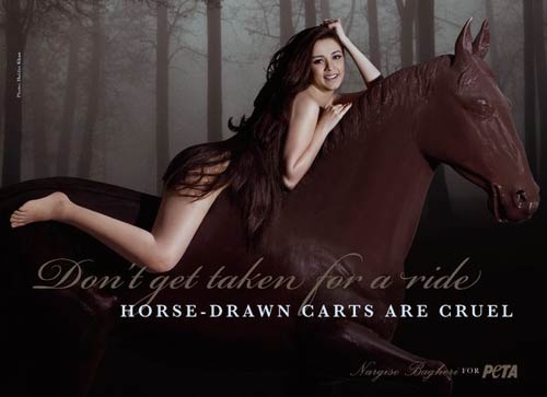 'पेटा' के समर्थन में हसीनाएं...| तस्‍वीरों में दार्जीलिंग