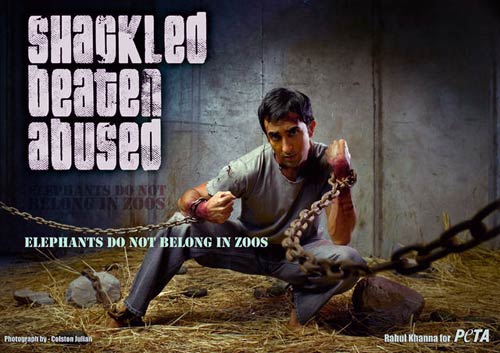 'पेटा' के समर्थन में हसीनाएं...| तस्‍वीरों में दार्जीलिंग