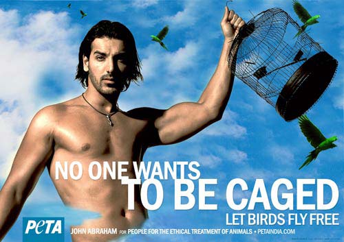 सितारों से सजे मैग्‍जीनों के कवर...