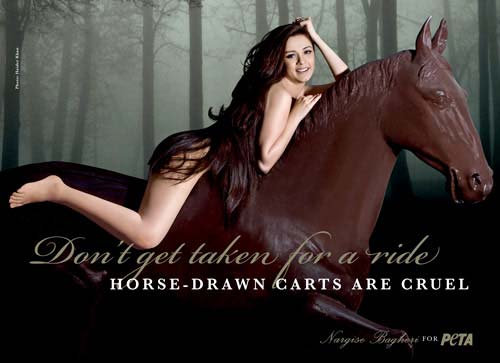 सितारों से सजे मैग्‍जीनों के कवर...