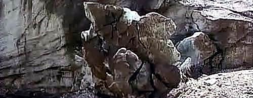 तेजी से पिघल रहे हैं हिमालय के ग्‍लेशियर