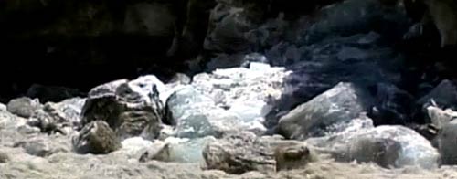 तेजी से पिघल रहे हैं हिमालय के ग्‍लेशियर