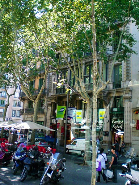 कैमरे की नजर से देखें स्‍पेन की सुंदरता