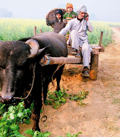 भारत में मोबाइल फोन सेवा ने पूरे किए 17 साल