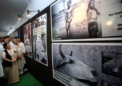 तस्‍वीरों में: बीते सप्‍ताह की झलक । हॉटेस्‍ट सोनम कपूर