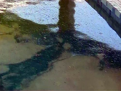 कॉमनवेल्थ गेम्स का खेलगांव बनकर तैयार | विस्तृत कवरेज