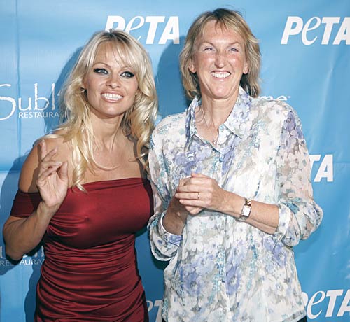 बिग बॉस-4 के प्रतियोगी | 'आईटीए अवार्डस 2010' के सितारे