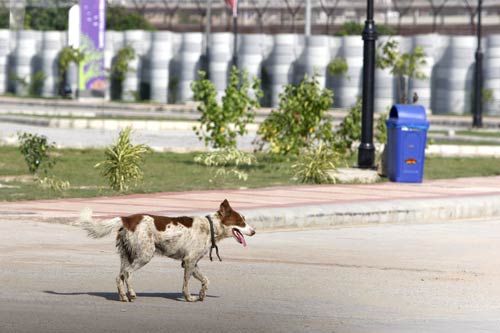 राष्‍ट्रमंडल खेलों में भाग लेने दिल्‍ली पहुंचे खिलाड़ी