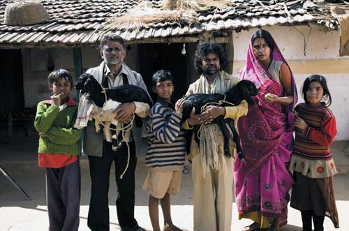 2010 में चला इन फिल्‍मों का जलवा | 'दबंग' का दम