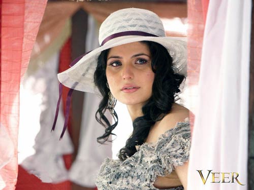 2010 में नहीं बिकी इनकी टिकटें |   2010 की टॉप फिल्‍में