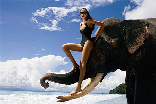 किंगफिशर कैलेंडर की मादकता | किंगफिशर कैलेंडर 2011