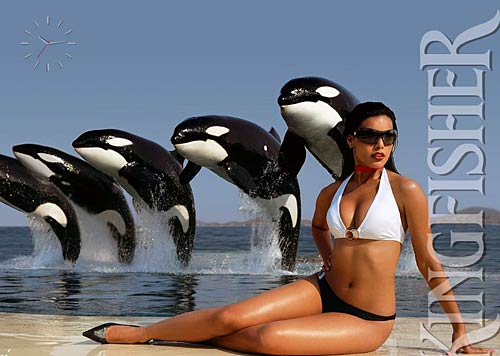 किंगफिशर कैलेंडर की मादकता | किंगफिशर कैलेंडर 2011