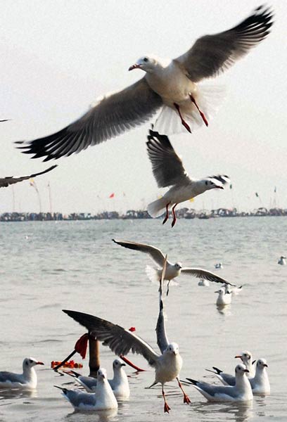 पिछले सप्‍ताह को करें तस्‍वीरों में याद |   2010 की टॉप फिल्‍में