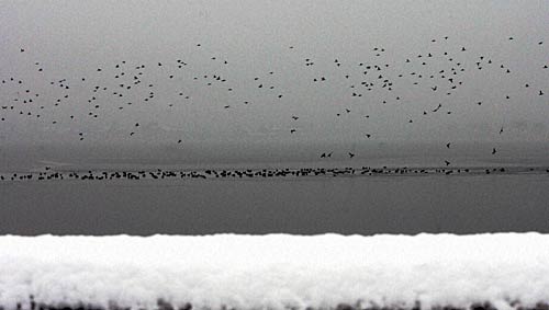 कश्मीर में मौसम की पहली बर्फबारी | '...तो लौटेगा हिमयुग’