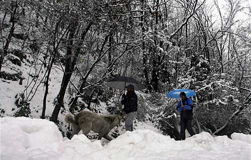 कश्मीर में मौसम की पहली बर्फबारी | '...तो लौटेगा हिमयुग’
