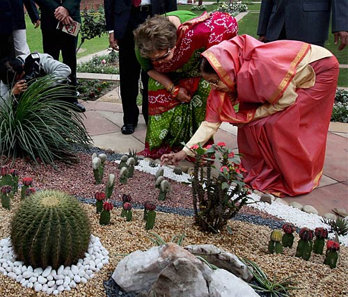 मुगल गार्डन की छटा है निराली | पढ़ें