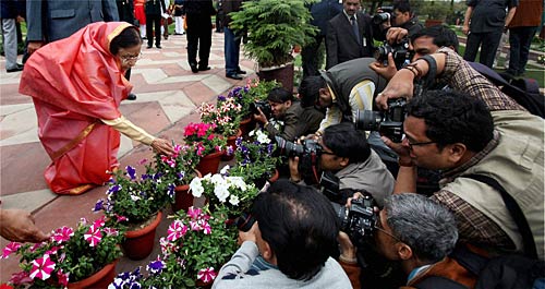 मुगल गार्डन की छटा है निराली | पढ़ें