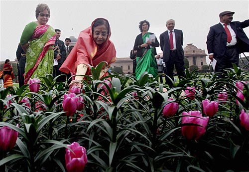मुगल गार्डन की छटा है निराली | पढ़ें