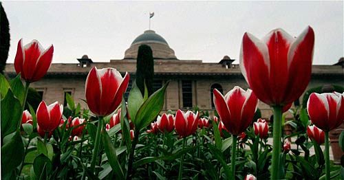 मुगल गार्डन की छटा है निराली | पढ़ें