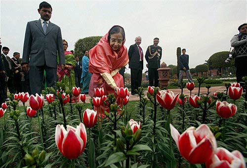 मुगल गार्डन की छटा है निराली | पढ़ें