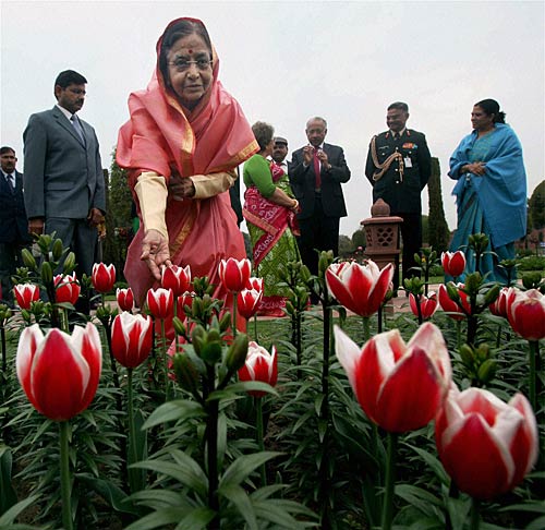 मुगल गार्डन की छटा है निराली | पढ़ें