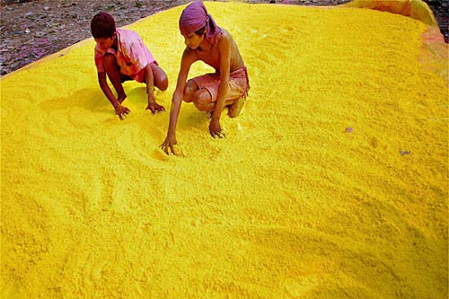 होली के रंग में रंगा देश... | एक्‍सक्‍लूसिव: ऑपरेशन गुलाल