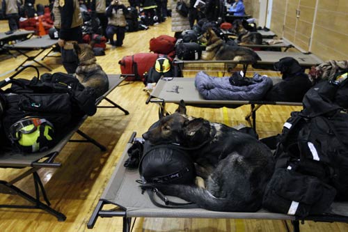 भूकंप, सुनामी और अब रेडिएशन का खौफ | सुनामी से तबाही