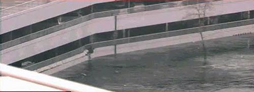 जापान में सुनामी ने मचाई तबाही | तबाही के बाद का मंजर