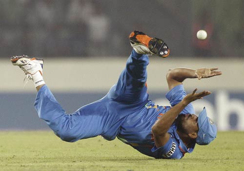 भारत के 7 मुकाबलों का सफर । टीम इंडिया की जीत का सफर